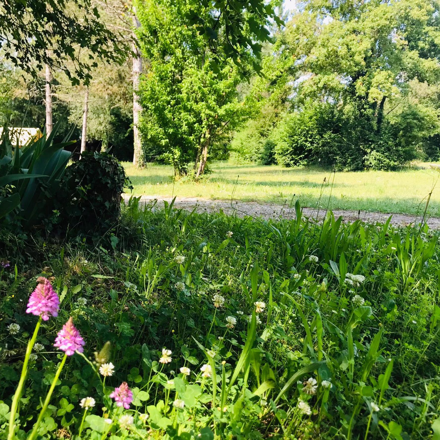 Camping La Vaugelette - Drome Montclar-sur-Gervanne ภายนอก รูปภาพ